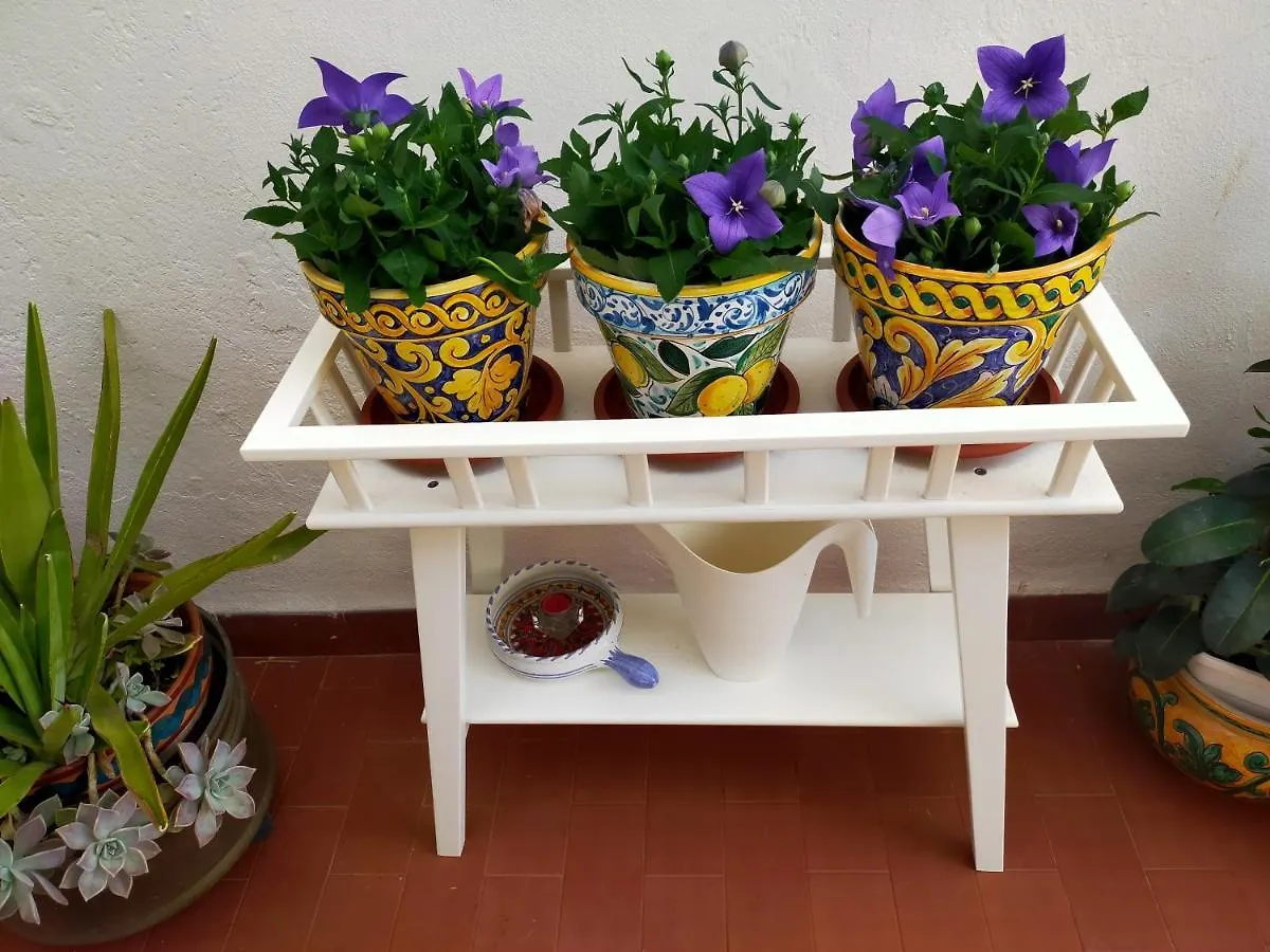 Le Terrazze Segrete Apartment Palermo
